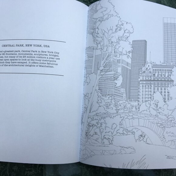 Adult Coloring Books - Picture 12 of 12